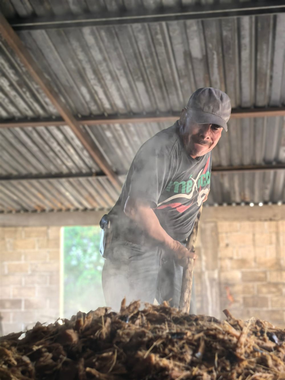 El maestro mezcalero José Luis Medina Millán trabajando el agave cocido